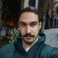 Amin Jamali