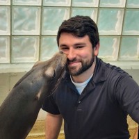 Sean Sparaco