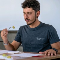 Stefano Prandi