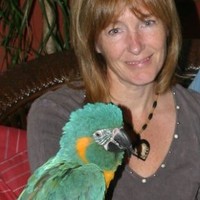 Karen Windsor