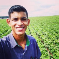 Bruno Henrique Santos de Freitas