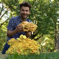 Levi Ryfiak