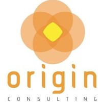 Origin Consulting