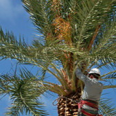 Baker Landscape Corp