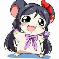 高洪艳
