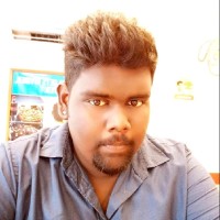 Lingeshwaran N V