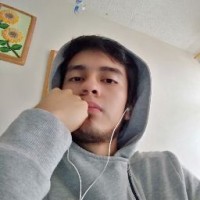 Cristian David Carrillo Sanchez