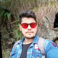 Brijesh Vashisht