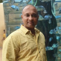Kailash Mani N