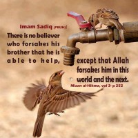 Syed Mohammad Ali Aon