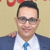 Ahmed Elsayed Abdullah