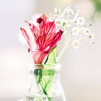 杨丽宏
