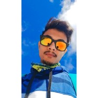 Ankur Roy