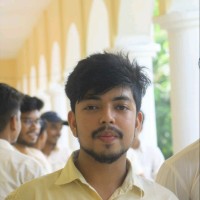 Biswabikas Senapati