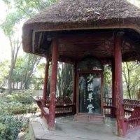 申志峰