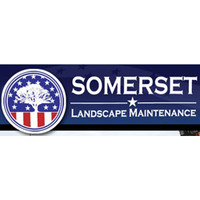 Somerset Landscape
