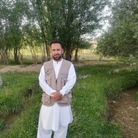 Habib Rasool Hemat