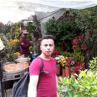 Ehsan Yari