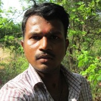 Vinod K