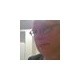 David A. Tokar Ph.D