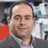 Ihab Habib