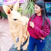 Nitasha Gill