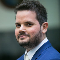 Henrique Perche Viana