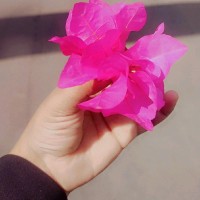 Hasbiya Baig