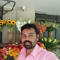 Lakshmipathi N