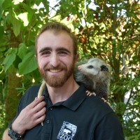 Eric Hutchinson