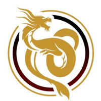 Dragon X