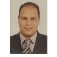 Ahmed Badr (Mini Mba , Pmp®, Pmi-Rmp®)