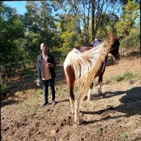 Ofentse Maine
