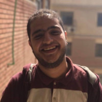 Amr Mohamed