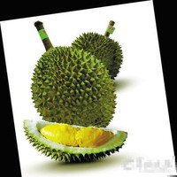 Gu Minhuai