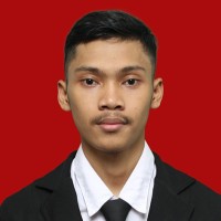 Mochammad Masari Alfianto