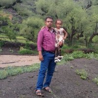 Anwar Alwan