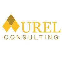 Aurel Consulting LLP