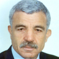 mohammed louafi