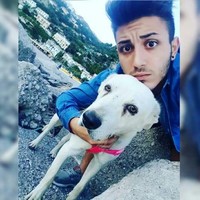 Alessandro D'Antonio