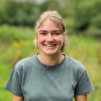 Juul Wassink