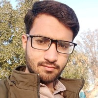Mustansar Hussain