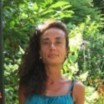 Diane Lillo