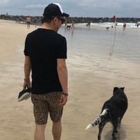 杨凯文