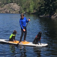 Per-Anders Holm