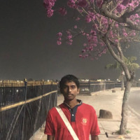 Pramod Reddy Dhanireddy