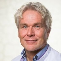 Arjen Van Henten
