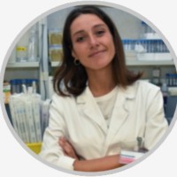 Martine Bocchini