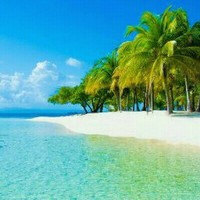 Ajay Chaube
