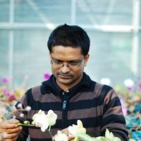 Md. Abdullahil Baque, Ph.D